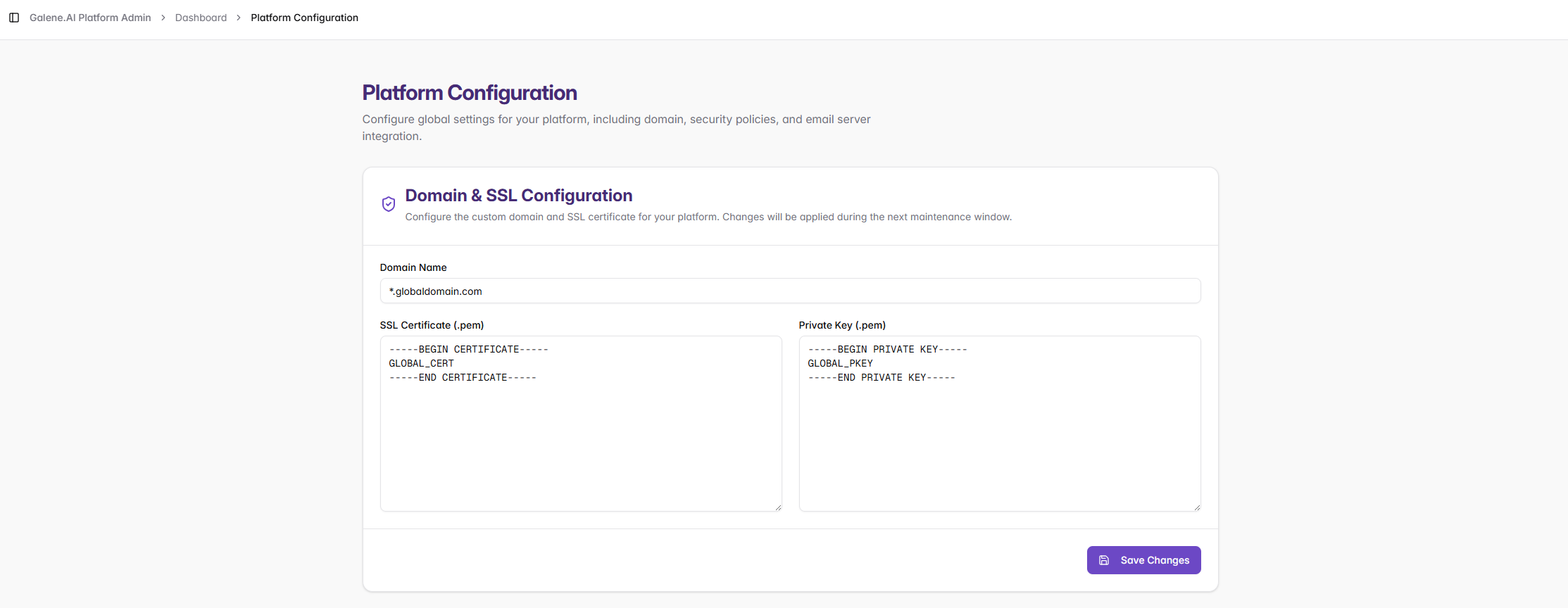 Domain &amp; SSL Configuration Interface